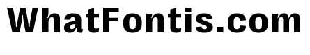 Right Grotesk Text Casual Variable 4