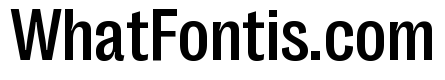 Right Grotesk Compact Variable 4