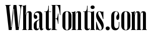 Right Didone Tight Variable 4