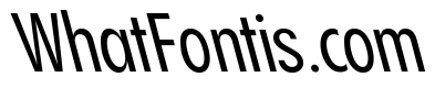 Pangram Sans Slim Variable Pangram Sans Variable 21