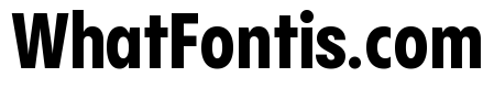 Pangram Sans Condensed Variable Pangram Sans Variable 8