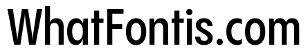 Pangram Sans Condensed Variable Pangram Sans Variable 6