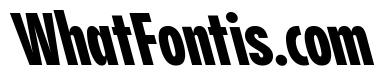 Pangram Sans Compressed Variable Pangram Sans Variable 24