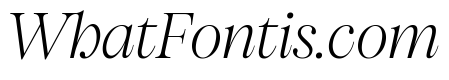 Pangaia Ultralight Italic