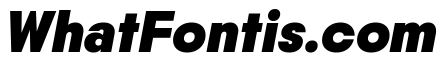 Nikkei Maru Regular 35