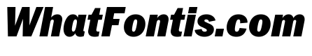 Neue York Narrow Italic 8