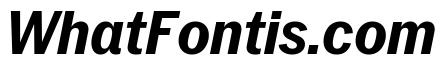 Neue York Narrow Italic 6