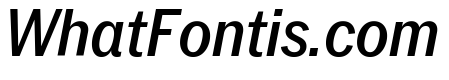 Neue York Narrow Italic 4