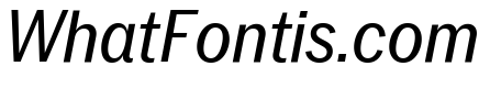 Neue York Narrow Italic 3
