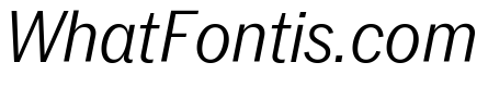 Neue York Narrow Italic 2