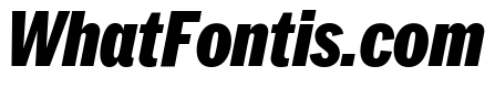 Neue York Condensed Italic 8