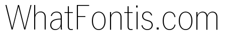 Neue York Thin Narrow Italic