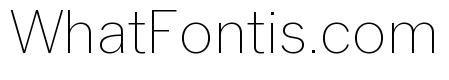 Neue York Thin Italic
