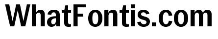 Neue York Semibold Narrow Italic