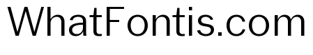 Neue York Normal Light Italic