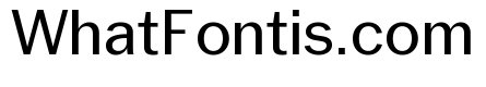 Neue York Normal Italic Alt2