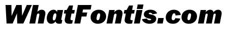 Neue York Normal Italic 8