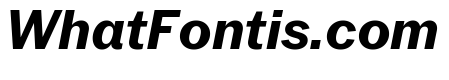 Neue York Normal Italic 6
