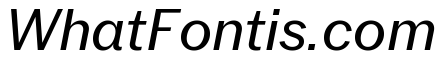 Neue York Normal Italic 3