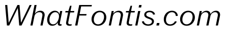 Neue York Normal Italic 2