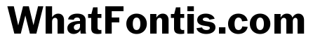 Neue York Normal Bold Italic