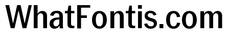 Neue York Narrow Medium Narrow Italic