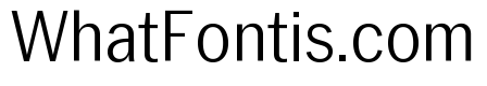 Neue York Narrow Light Narrow Italic