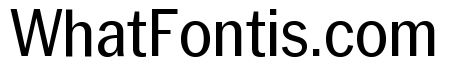 Neue York Narrow Italic Alt2