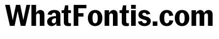 Neue York Narrow Bold Narrow Italic