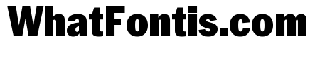 Neue York Narrow Black Narrow Italic