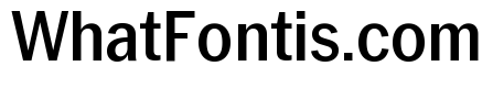 Neue York Medium Narrow Italic