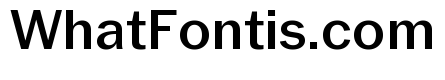 Neue York Medium Italic
