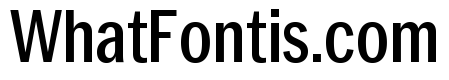 Neue York Medium Condensed Italic