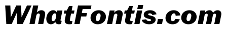 Neue York Italic 7