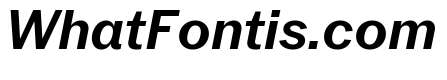 Neue York Italic 5