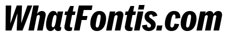 Neue York Italic 23
