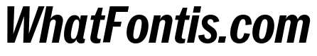 Neue York Italic 22