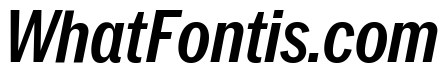 Neue York Italic 21