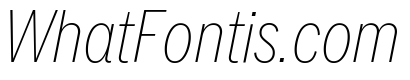 Neue York Italic 17
