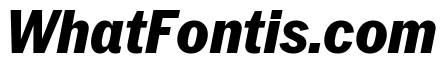 Neue York Italic 15