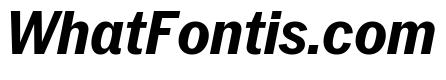Neue York Italic 14