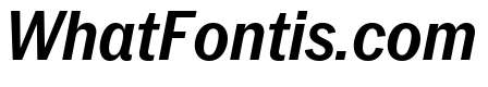 Neue York Italic 13