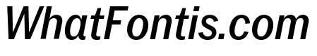 Neue York Italic 12