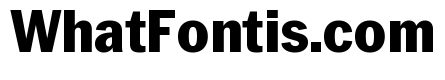 Neue York Extrabold Narrow Italic