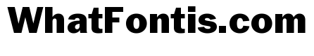 Neue York Extrabold Italic