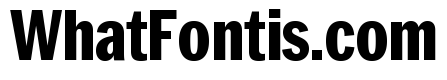 Neue York Extrabold Condensed Italic