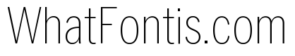 Neue York Condensed Thin Condensed Italic
