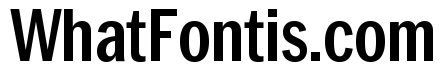 Neue York Condensed Semibold Condensed Italic