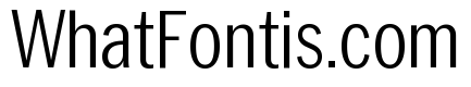 Neue York Condensed Light Condensed Italic