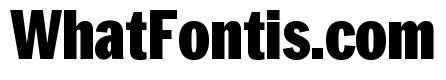 Neue York Black Condensed Italic